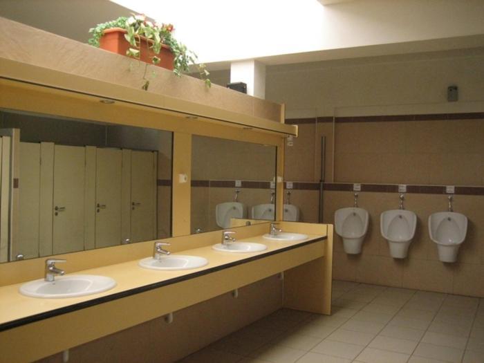 Camping Albergue Tau Hotell San José Eksteriør bilde